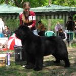 Превью фото № 13267