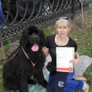 Превью фото № 132672