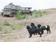 Превью фото № 132675