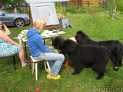 Превью фото № 132676