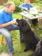 Превью фото № 132678