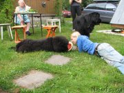 Превью фото № 132680