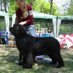 Превью фото № 13277