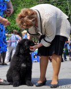 Превью фото № 132784