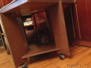 Превью фото № 132800