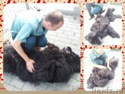 Превью фото № 132801