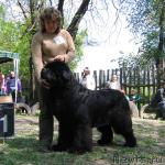 Превью фото № 13281