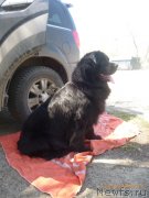 Превью фото № 132813