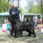 Превью фото № 13283