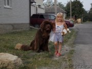 Превью фото № 132844