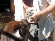 Превью фото № 132852