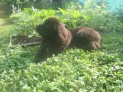 Превью фото № 132893