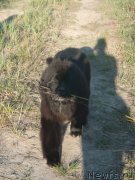 Превью фото № 132896