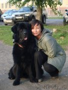 Превью фото № 132956