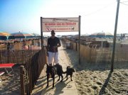 Превью фото № 132986