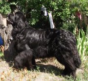 Превью фото № 133039