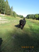 Превью фото № 133063