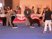 Превью фото № 133079