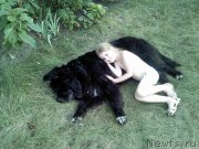 Превью фото № 133080