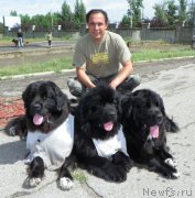 Превью фото № 133084