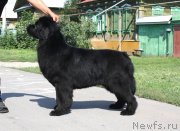 Превью фото № 133117