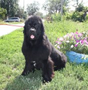 Превью фото № 133119