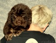 Превью фото № 133127