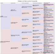 Превью фото № 133138