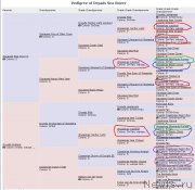 Превью фото № 133139