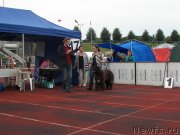 Превью фото № 133197