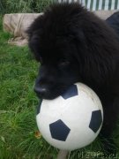 Превью фото № 133240