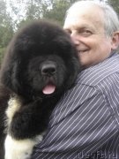 Превью фото № 133357