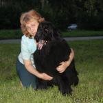 Превью фото № 133450