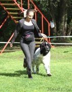 Превью фото № 133463