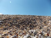 Превью фото № 133498