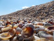 Превью фото № 133499