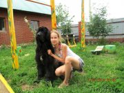 Превью фото № 133558