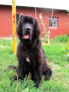 Превью фото № 133559