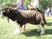 Превью фото № 133563