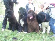 Превью фото № 133571