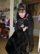 Превью фото № 133610