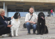 Превью фото № 133632