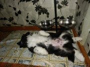 Превью фото № 133717