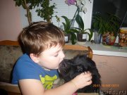 Превью фото № 133756