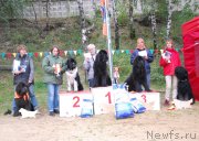 Превью фото № 133780