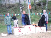 Превью фото № 133781