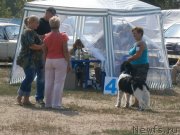 Превью фото № 133865