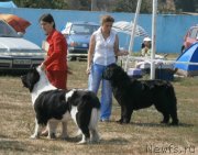 Превью фото № 133868