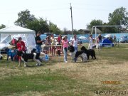 Превью фото № 133889