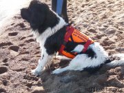 Превью фото № 133956